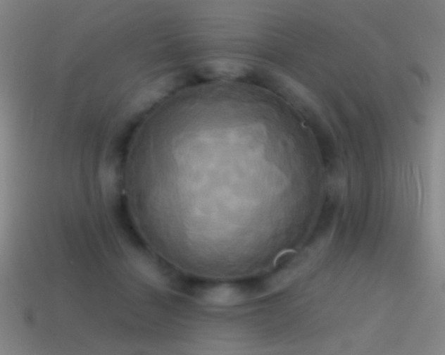 X0000114700460200910211255