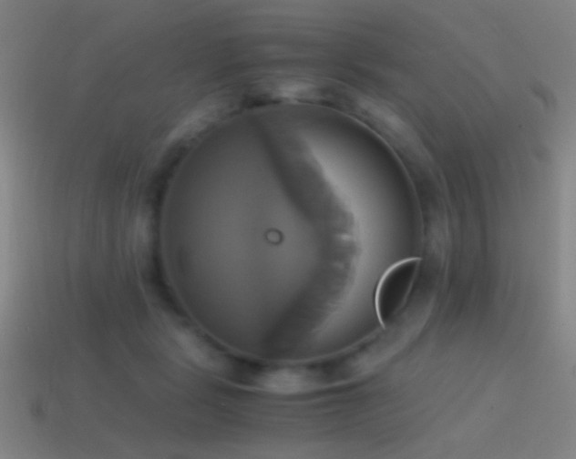 X0000114700461200910211255