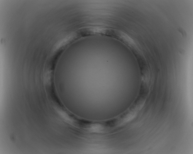 X0000114700462200910211255