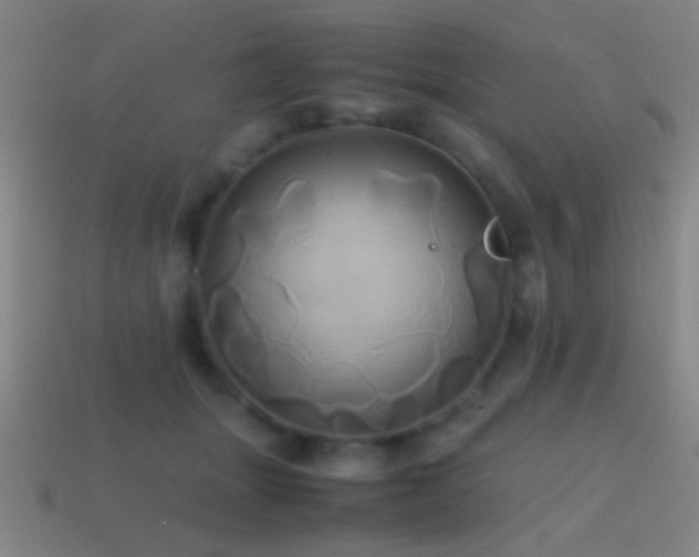 X0000114700463200910211255