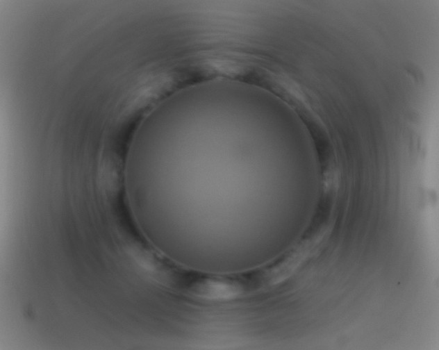 X0000114700464200910211255