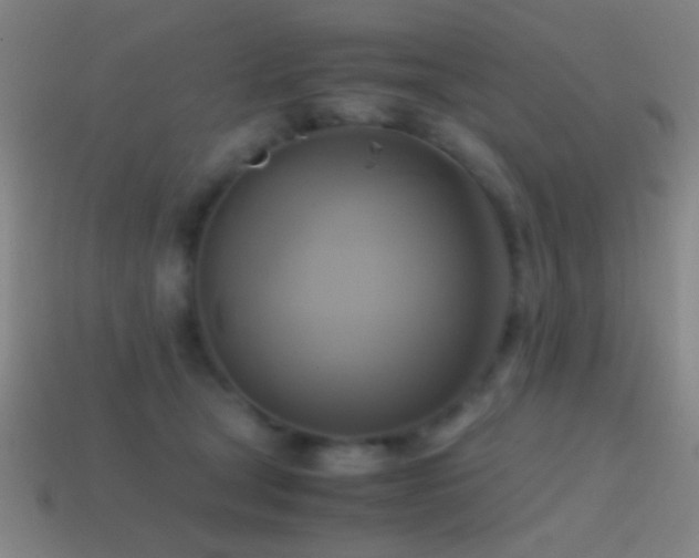 X0000114700465200910211255