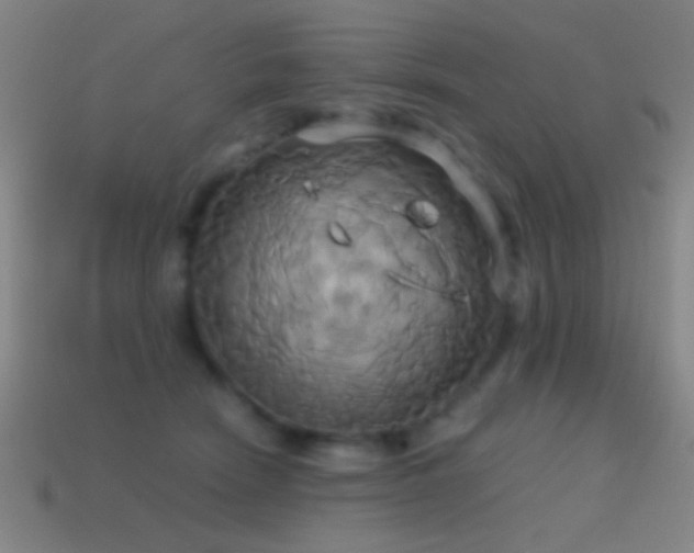 X0000114700466200910211255