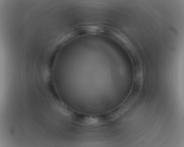 X0000114700469200910211255