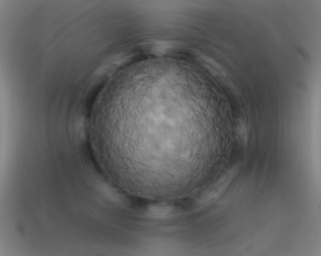 X0000114700470200910211255