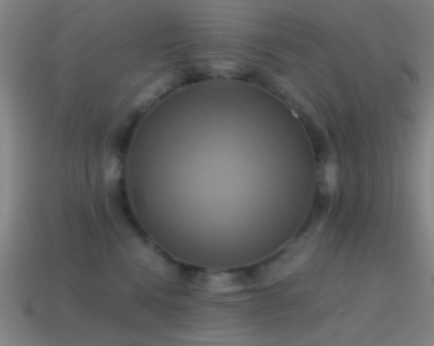 X0000114700472200910211255