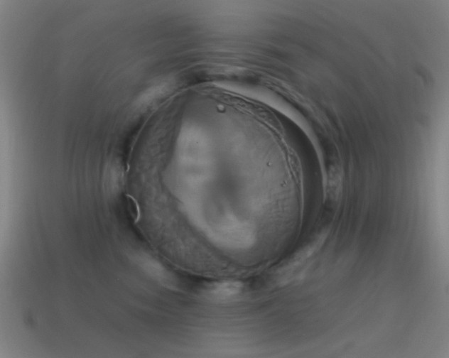 X0000114700474200910211255