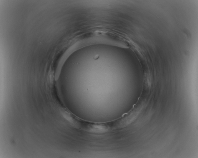 X0000114700475200910211255