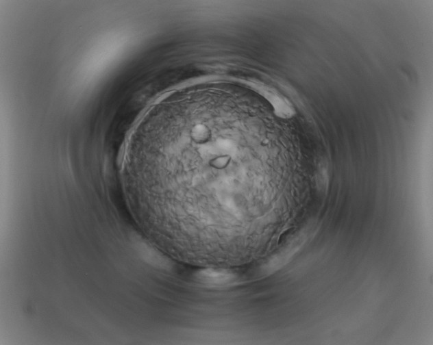 X0000114700477200910211255