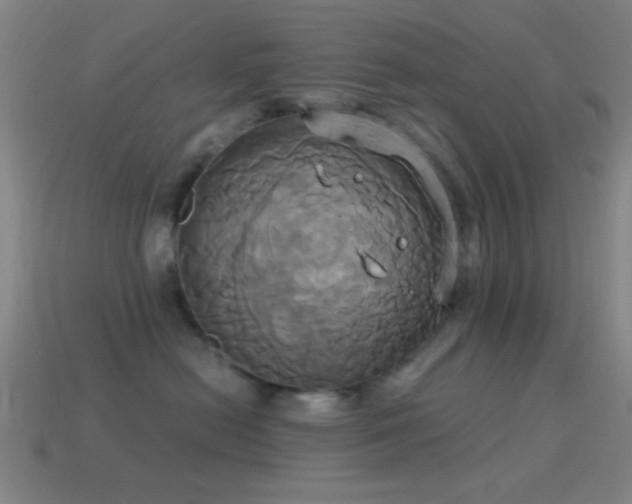 X0000114700478200910211255