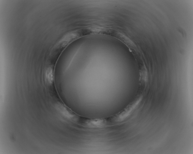 X0000114700479200910211255