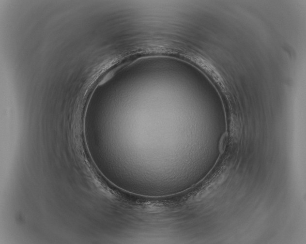 X0000114700481200910211255