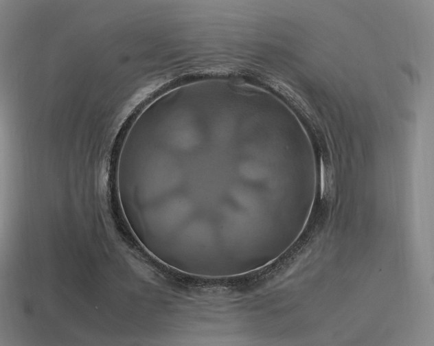 X0000114700483200910211255