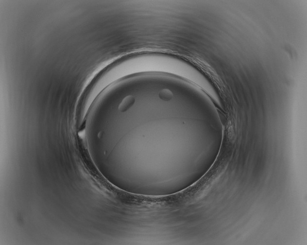 X0000114700484200910211255