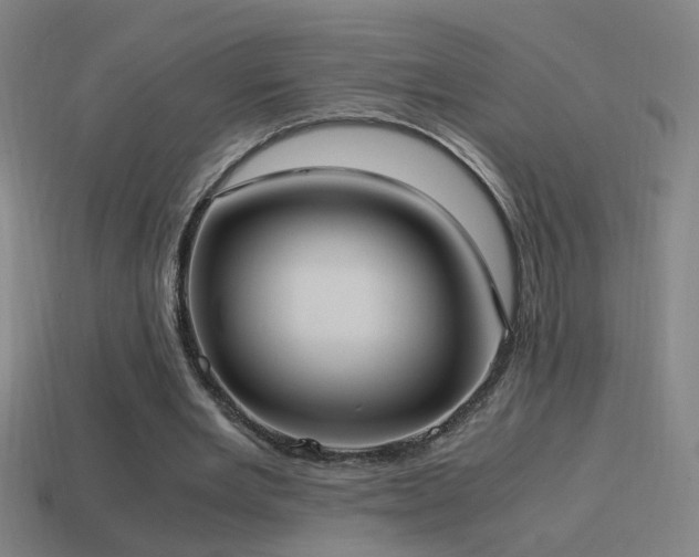 X0000114700485200910211255