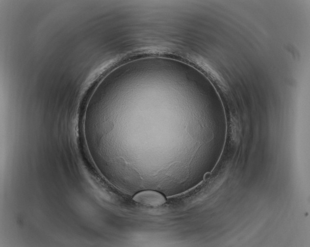 X0000114700486200910211255