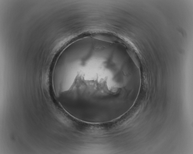 X0000114700487200910211255