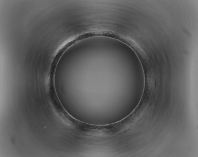 X0000114700488200910211255