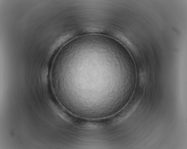 X0000114700490200910211255