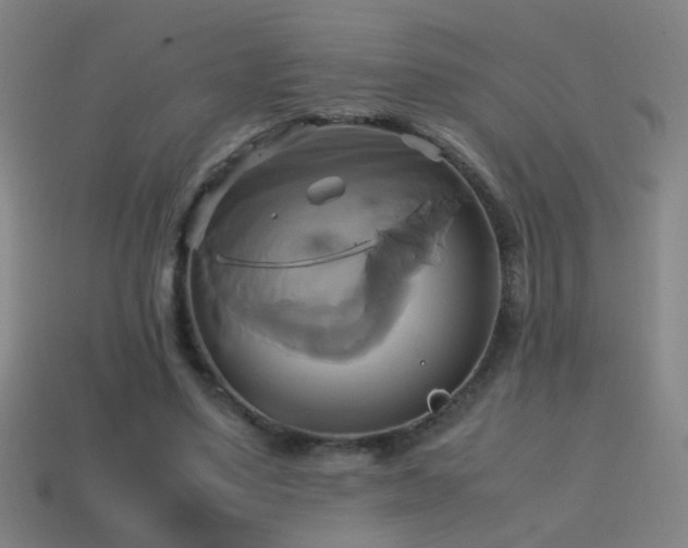 X0000114700491200910211255