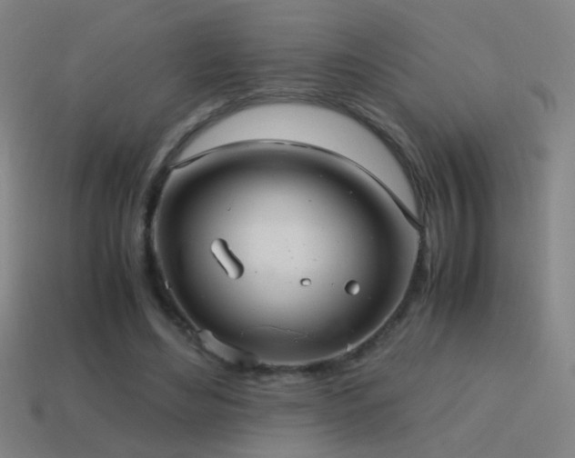 X0000114700492200910211255