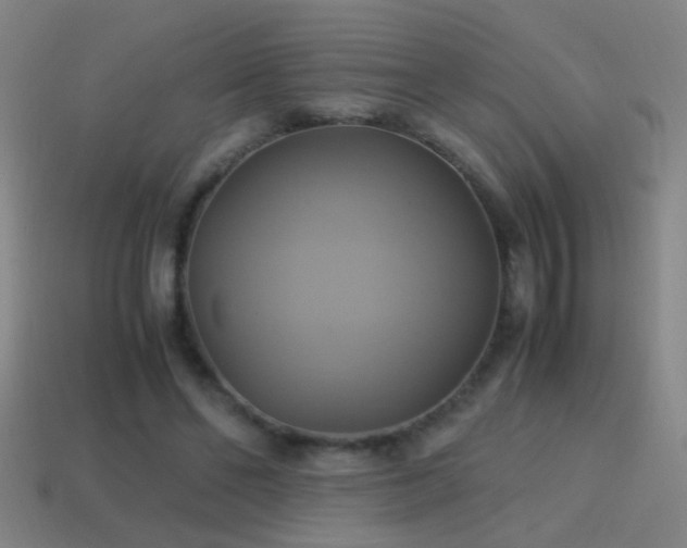 X0000114700494200910211255