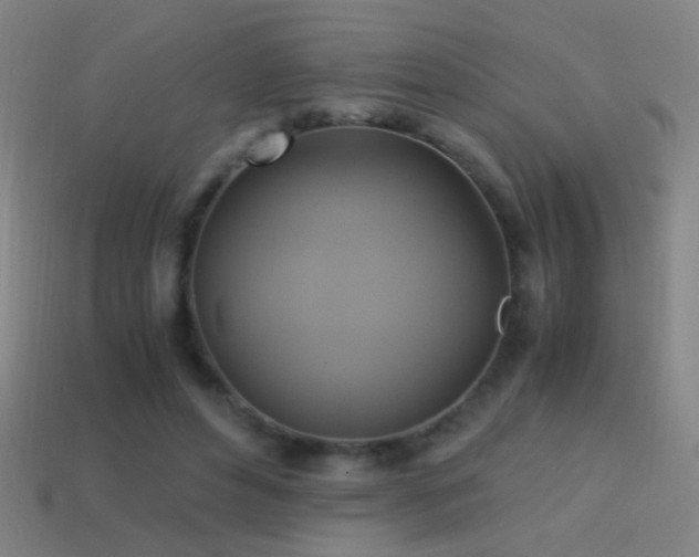 X0000114700496200910211255