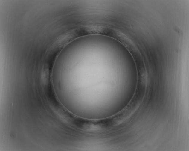 X0000114700498200910211255