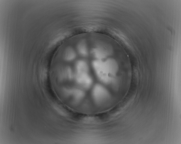 X0000114700499200910211255