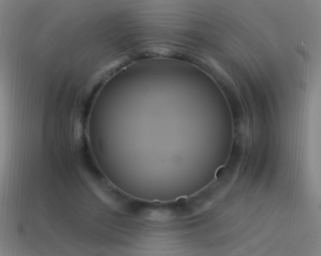 X0000114700500200910211254