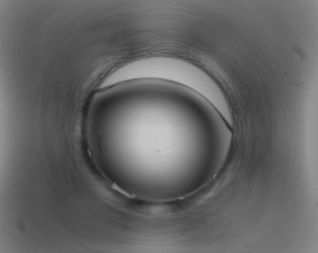 X0000114700501200910211254