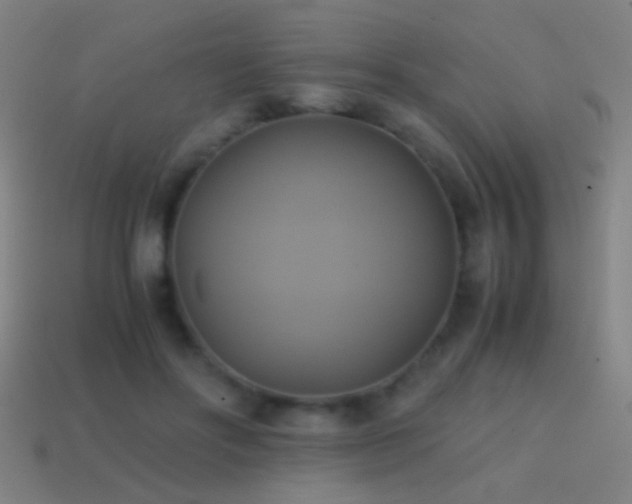 X0000114700502200910211254