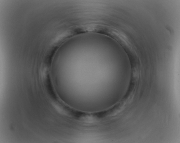 X0000114700503200910211254