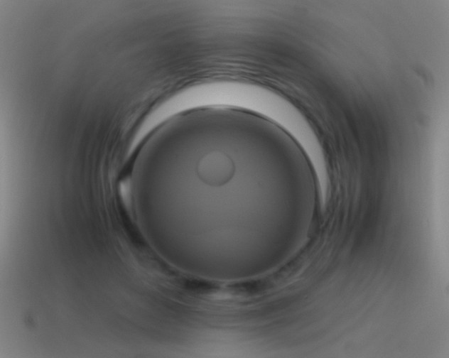 X0000114700504200910211254