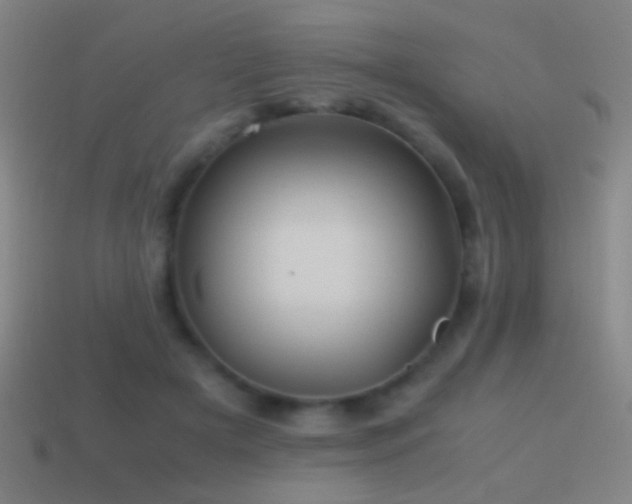 X0000114700505200910211254