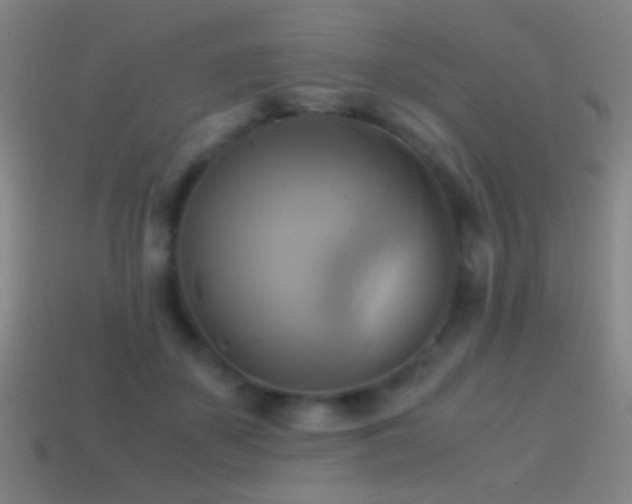 X0000114700507200910211254