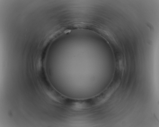 X0000114700508200910211254