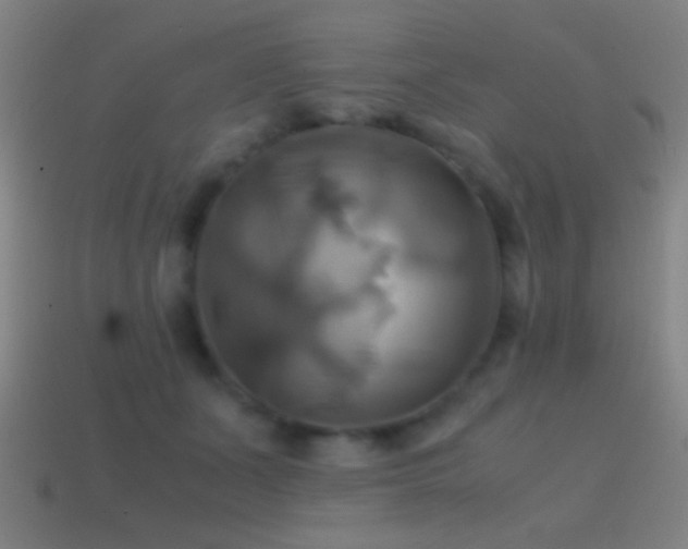 X0000114700511200910211254