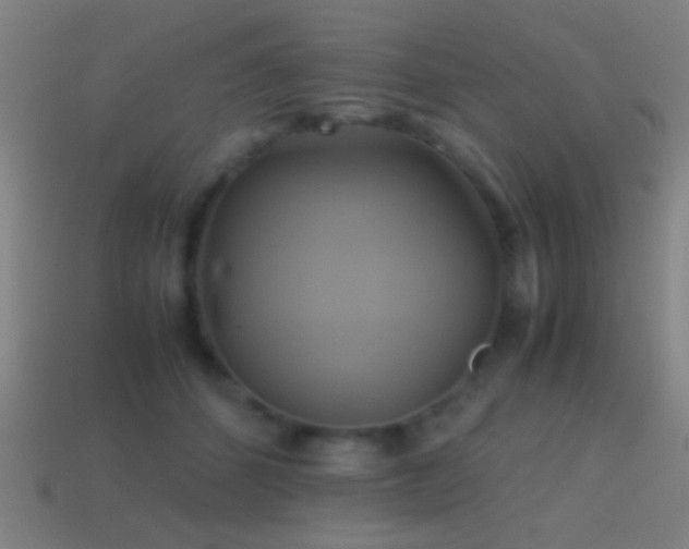 X0000114700512200910211254