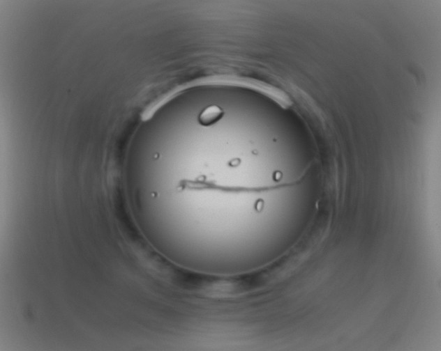 X0000114700513200910211254