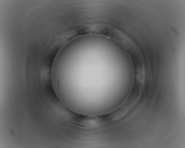 X0000114700514200910211254