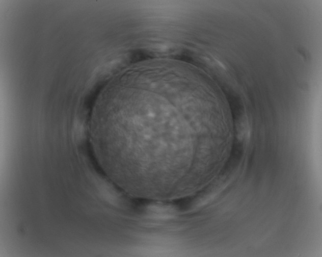 X0000114700515200910211254