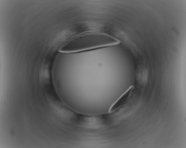 X0000114700516200910211254