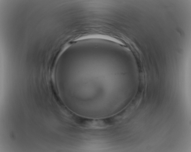 X0000114700517200910211254