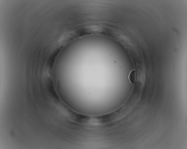 X0000114700518200910211254