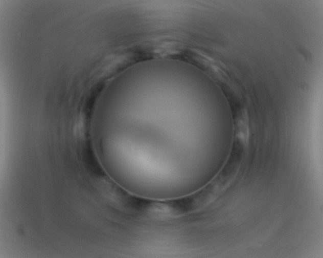 X0000114700519200910211254