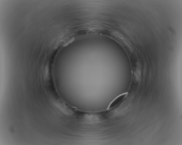 X0000114700520200910211254