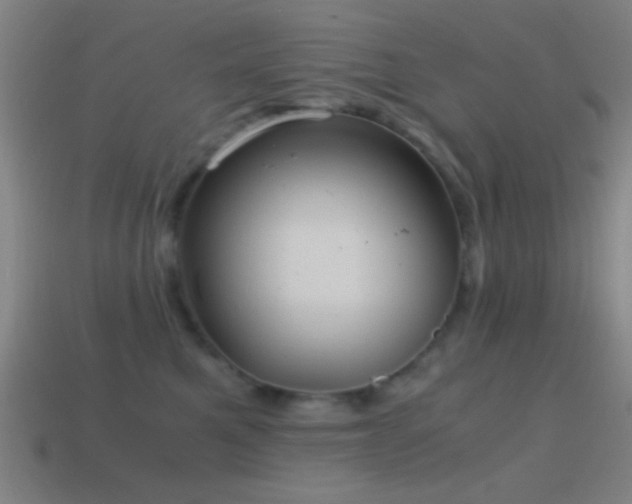 X0000114700521200910211254