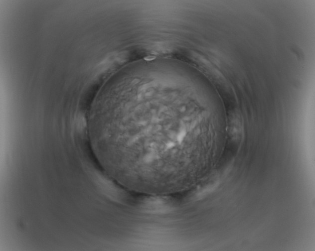 X0000114700523200910211254