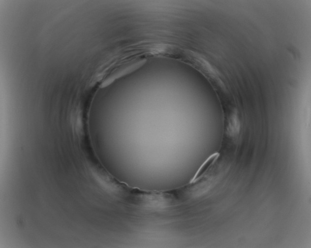 X0000114700524200910211254